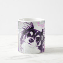 Chiwawa aux cheveux longs