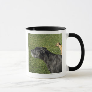 Mug Chiwawa sur le dos 2 de great dane