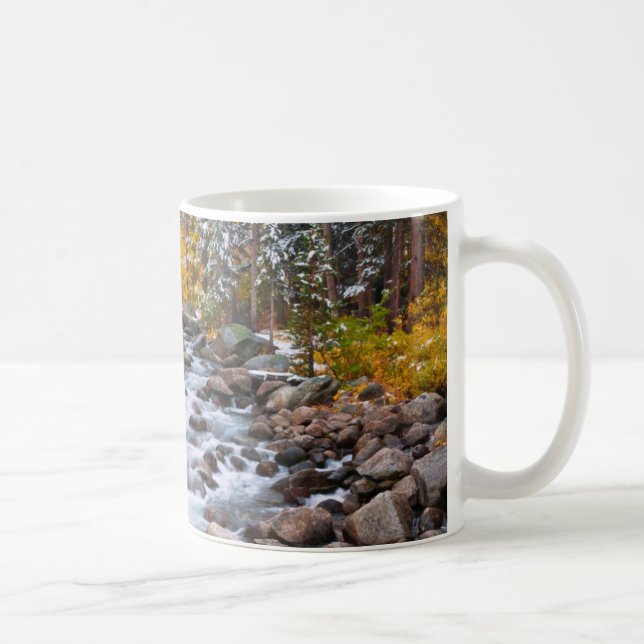 Mug Chute le long du ruisseau Bishop, Californie (Droite)