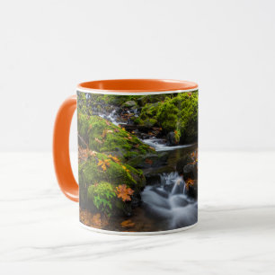 Mug Chutes de Starvation Creek   Columbia Gorge, Orego