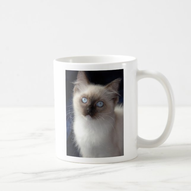 Mug cla1, RW SGCAWillowtreerags'Irish Fancyaka Clancy (Droite)