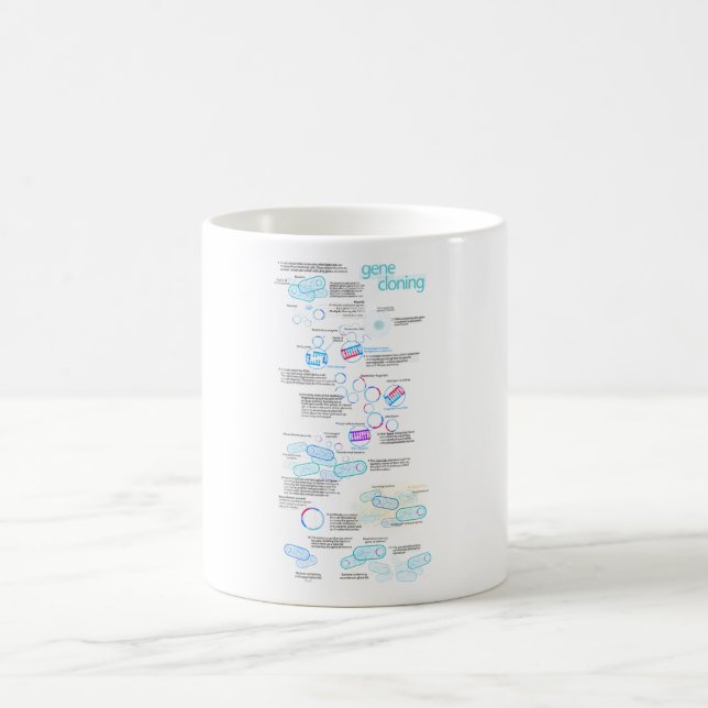 Mug Clonage moléculaire utilisant des bactéries et des (Centre)