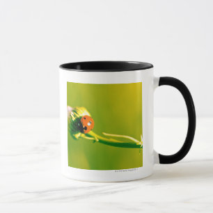 Mug Coccinelle sur le brin