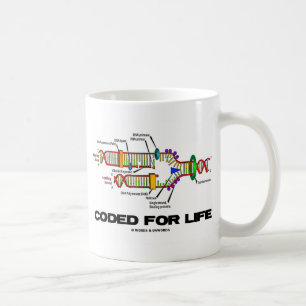 Mug Codé Pour La Vie (Réplication De L'ADN)