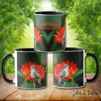 Mug Colibri à gorge rubis "Gerber Daisys"