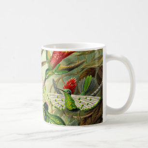 Mug Colibri de Trochilidae d'Ernst Haeckel