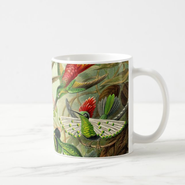 Mug Colibri de Trochilidae d'Ernst Haeckel (Droite)