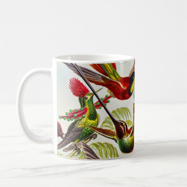 Mug Colibri Vintage par Ernst Haeckel (Gauche)