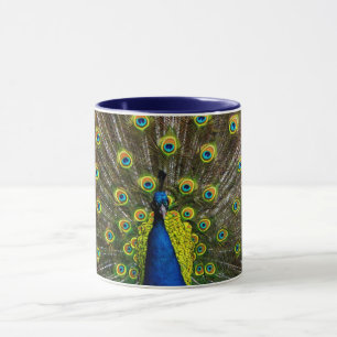 Mug Colorful peacock