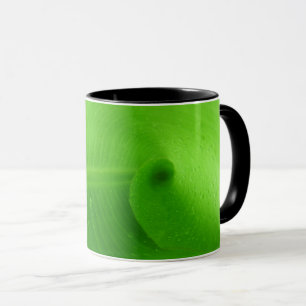 Mug combo, 11 oz