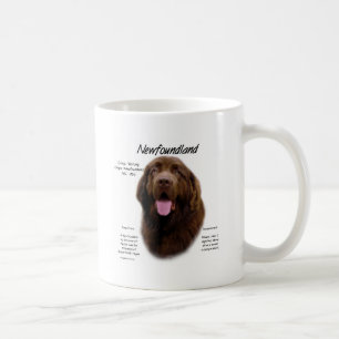 Mug Conception (Brown) d'histoire de Terre-Neuve