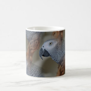 Mug Congo : Le perroquet gris