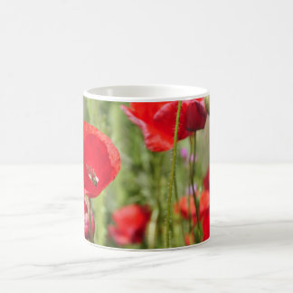 Mug Coquelicots