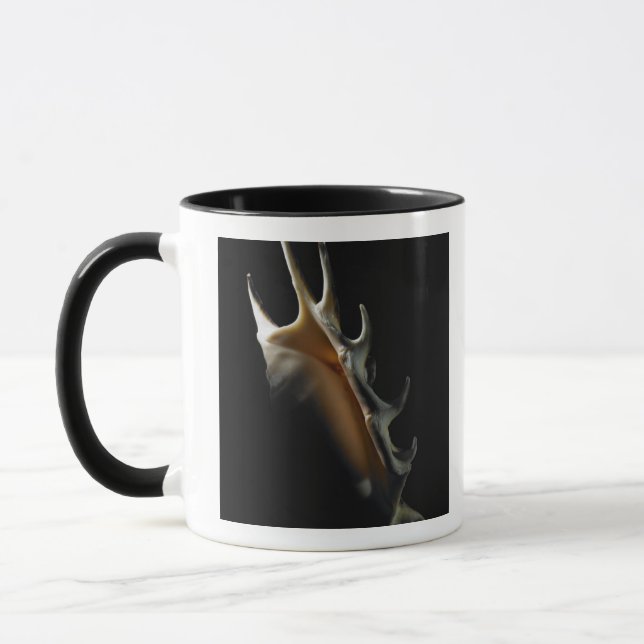 Mug Coquille de conque (Gauche)