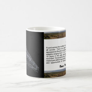 Mug Corbeau