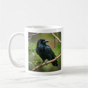 Mug Corbeau sur une branche d'arbre