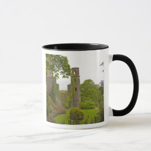 Mug Cork, Irlande. Le tristement célèbre château de