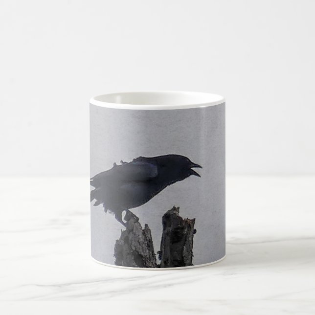 Mug Corneille (Centre)
