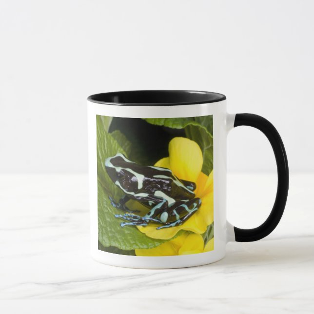 Mug Costa Rica, Péninsule d'Osa (Droite)