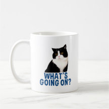 Coupe de Manchester de football