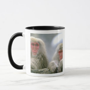 Mug Couple de singes des neiges, Macaque japonais,