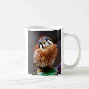 Mug Crécerelle curieuse
