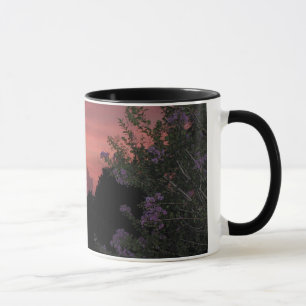 Mug Crêpe le Myrte et coucher du soleil