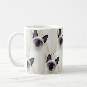 Mug Cuisine Beau Animal Blanc Noir Siamese Kitten Cat