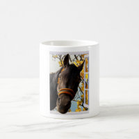 Curieux Cheval À Travers La Fenêtre De La Cuisine