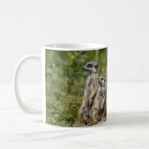 Mug Cute Meerkats