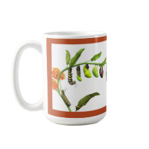 Cycle de vie des papillons monarques