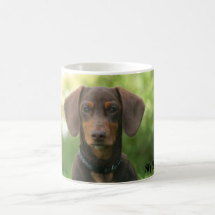 Mug Dachshund