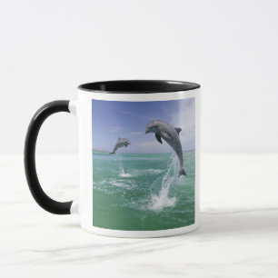 Mug Dauphins à gros nez Tursiops truncatus
