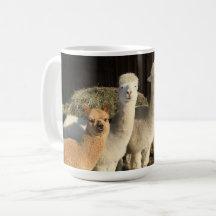 Mug de café - Alpacas dans le soleil d'hiver