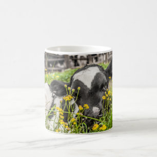 Mug de café avec veau