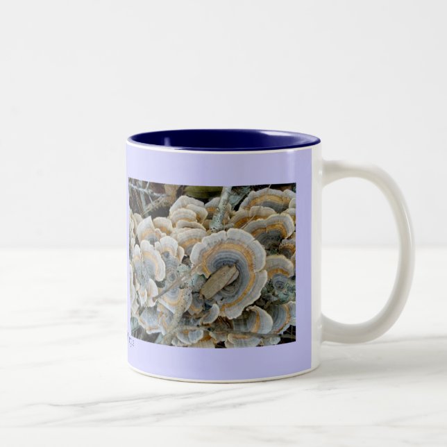 Mug de champignon de la plate-forme bleue (Droit)
