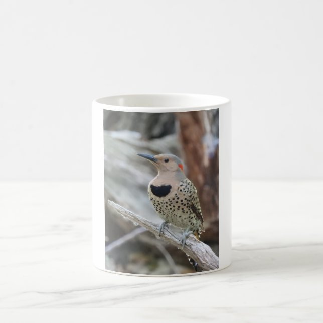Mug de Flickr du Nord  (Centre)