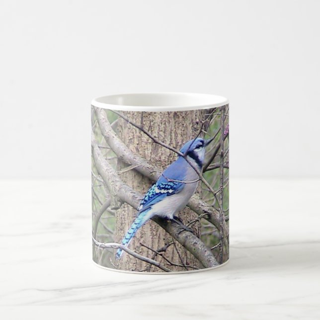 Mug de Jay bleu (Ohio) (Centre)