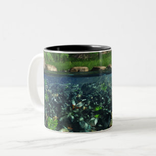 Mug de la rivière Cwm