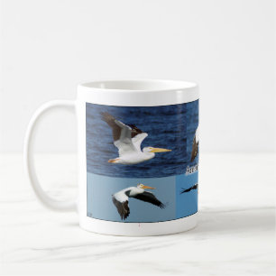 Mug de pélicans blancs américains