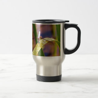 Mug De Voyage Dragonfly sur la feuille de pluie