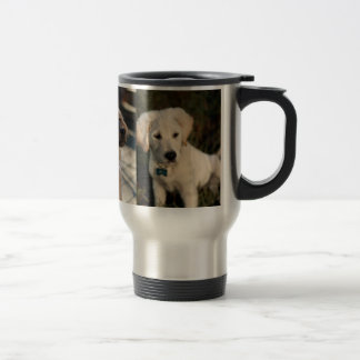 Mug De Voyage Moïse, aquarium populaire plus jeune, vague de