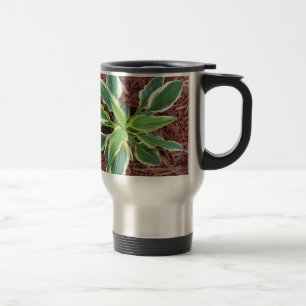 Mug De Voyage Sun Hosta