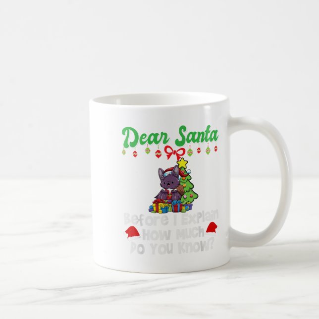 Mug Dear Santa Before I Explain How Much Do You Know  (Droite)