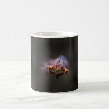 Mug d'écureuil volant
