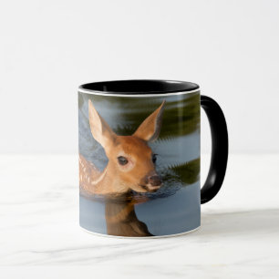 Mug Deer Fawn   Minnesota