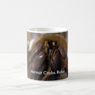 Mug désagréable, règle de bernard l'ermite !