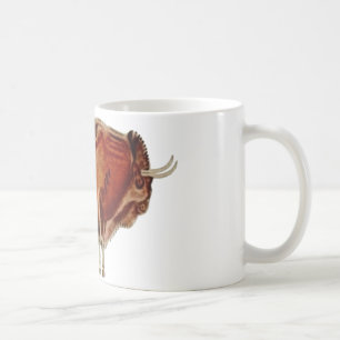 Mug Dessin de caverne de ~ d'Altamira Espagne de ~ de