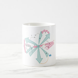 Mug Dessinez-la pour la connaître Structure Tertiaire