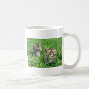 Mug Deux chatons jouant dans l'herbe